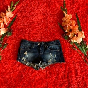 Express Distressed shorts
